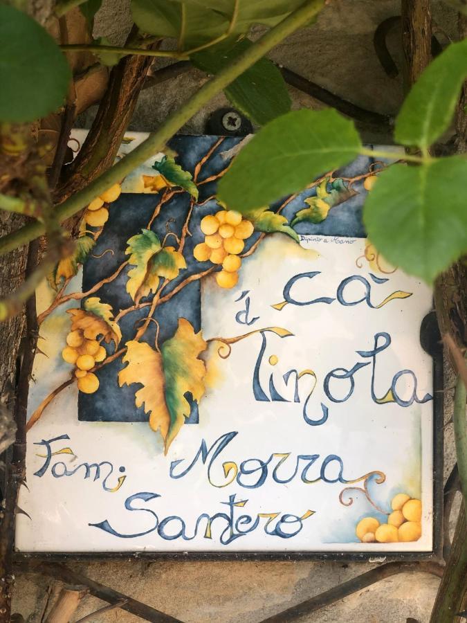 Ca Tinola Hotel Mango Luaran gambar